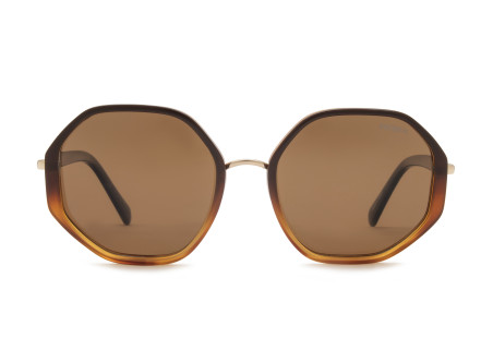 Vitalogy 6 SUN AY239